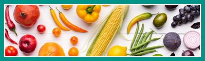  Free & Reduced Lunch Application